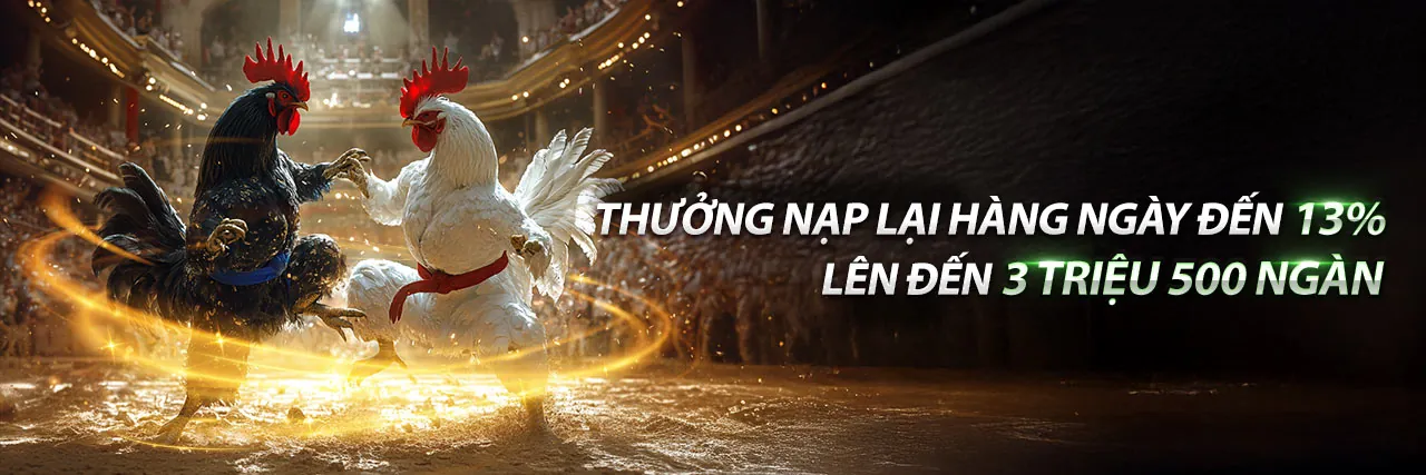 Tin tức mới nhất từ letou nhà cái
